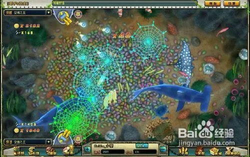 捕鱼假日小强辅助