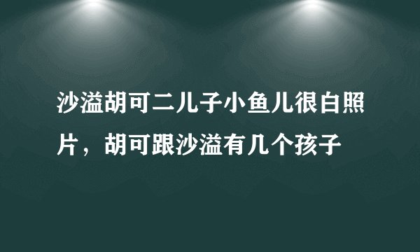 沙溢胡可二儿子小鱼儿很白照片，胡可跟沙溢有几个孩子