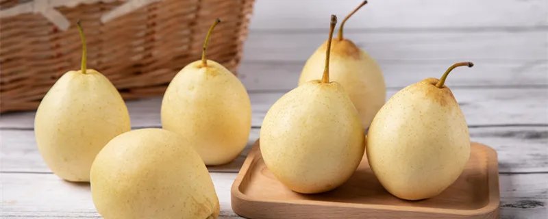 惊蛰为什么要吃梨 惊蛰为什么要吃梨的故事