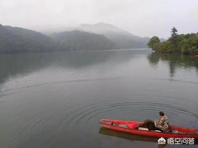 定制旅行怎么样?