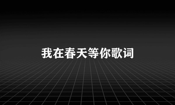 我在春天等你歌词