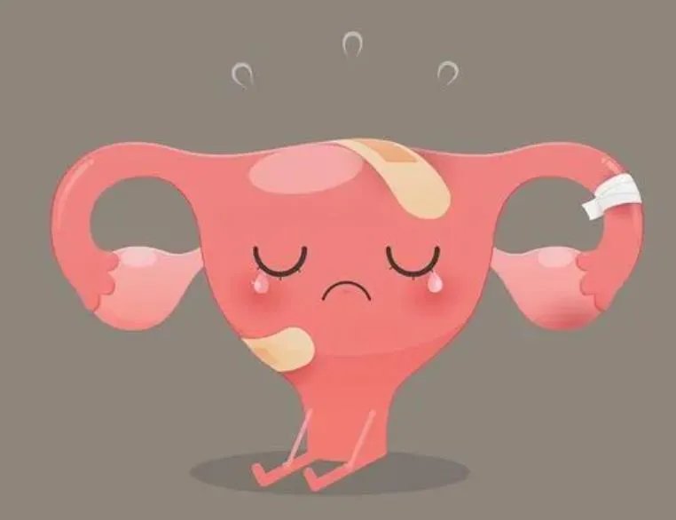 柬埔寨试管婴儿价格一览表，看看做试管需要多少钱