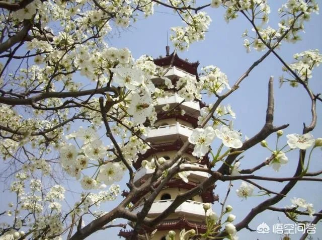 如果有人欠钱不还，应该怎么向法院提诉讼？