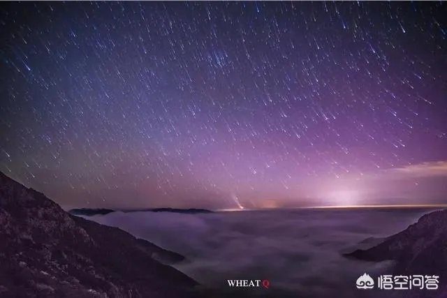 看到一些销售很勤奋但没有业绩会心疼吗?