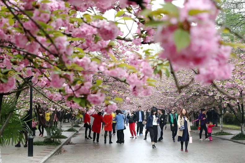 玉渊潭将实名制购票 门票价格多少钱一张