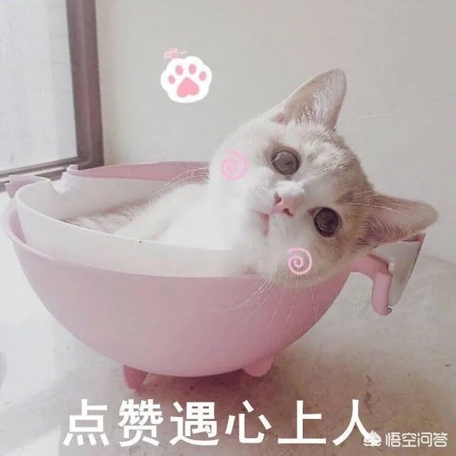 怎么看待杨幂替身对杨幂的评价？