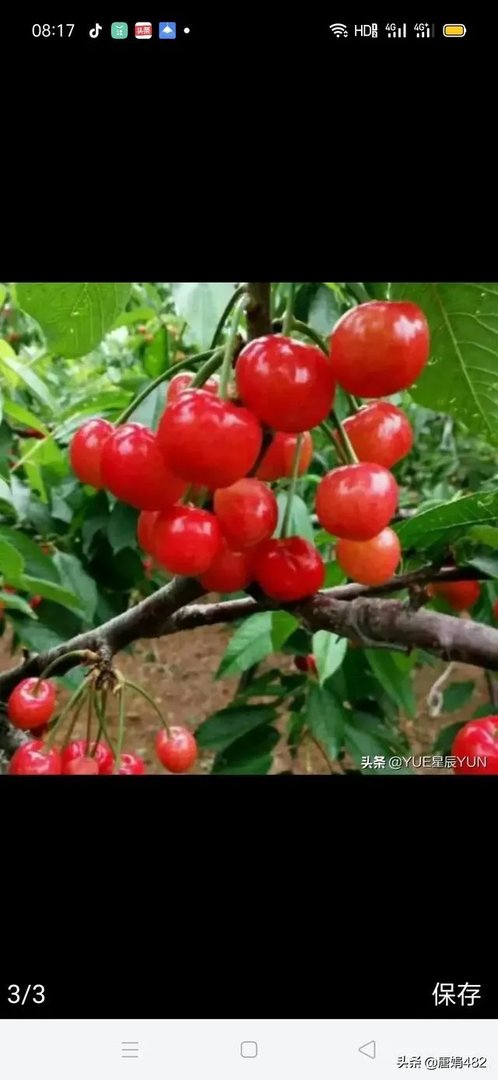 疫情防控越防越严重