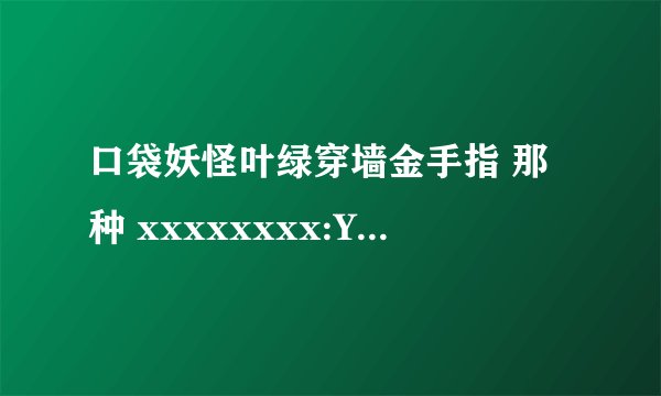 口袋妖怪叶绿穿墙金手指 那种 xxxxxxxx:YYY 的该怎么用 清楚一点！！！
