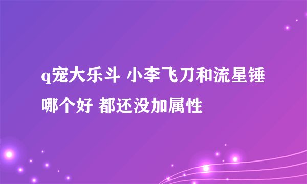 q宠大乐斗 小李飞刀和流星锤哪个好 都还没加属性