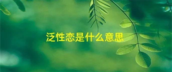 泛性恋是什么意思