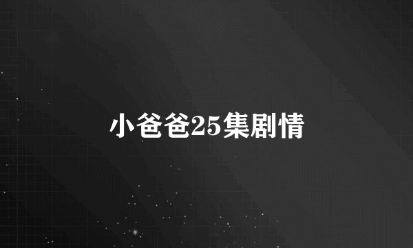 小爸爸25集剧情