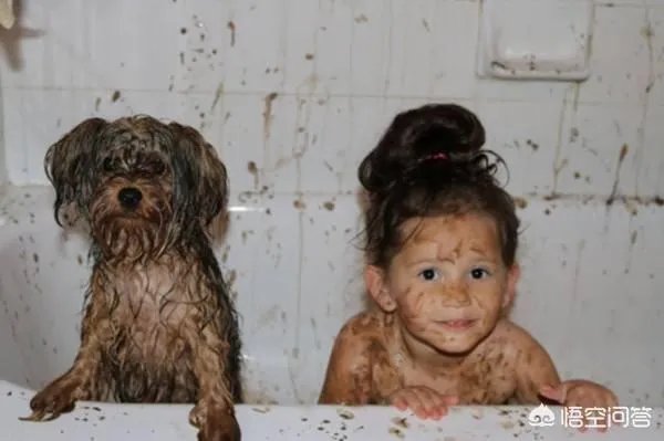 你见过哪些熊孩子“作死”的行为？