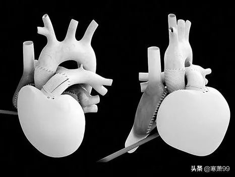 如果达尔文的进化论是正确的,人类最后会进化成什么模样?