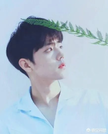 肖战,李现现在究竟是什么梗?