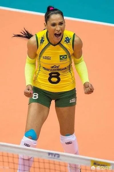 巴西队女排全部名单