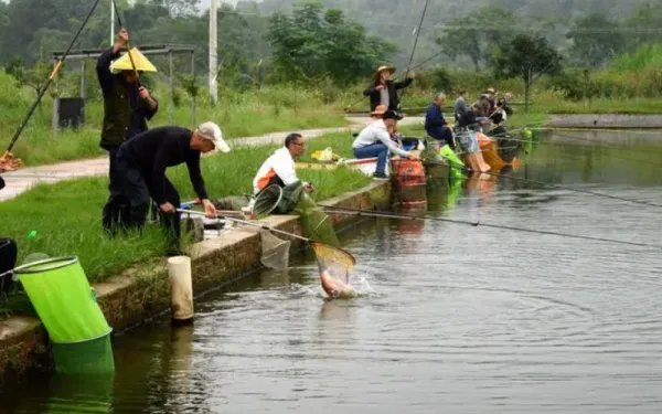 雨后好钓鱼还是雨前好钓鱼