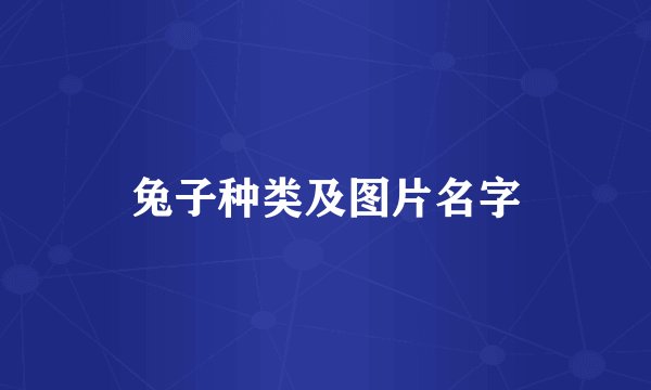 兔子种类及图片名字