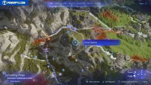 《阿凡达潘多拉边境》塔休幼苗位置汇总 塔休幼苗收集攻略