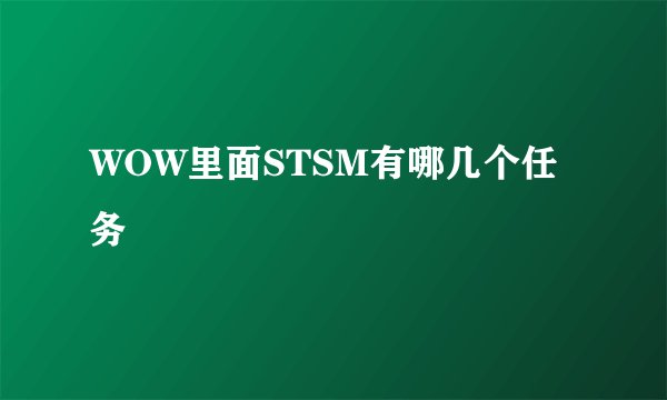WOW里面STSM有哪几个任务