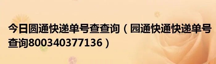 今日圆通快递单号查查询（园通快通快递单号查询800340377136）