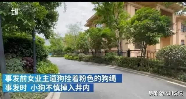 浙江女子喊老公下污水井救宠物狗致其身亡，年仅30岁，怎么看？