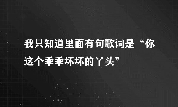 我只知道里面有句歌词是“你这个乖乖坏坏的丫头”
