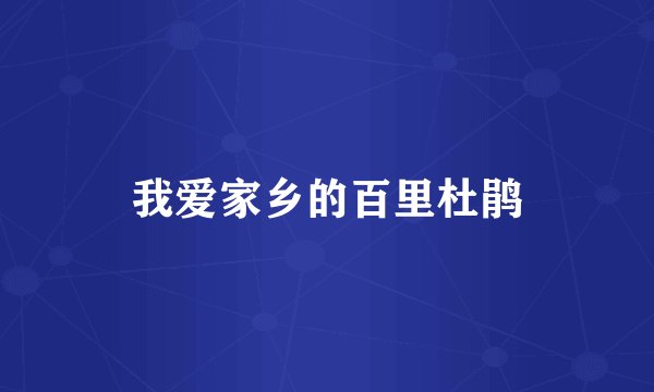 我爱家乡的百里杜鹃