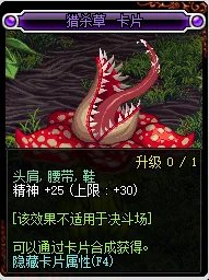 《DNF》腰带可以附魔什么宝珠 腰带附魔介绍一览