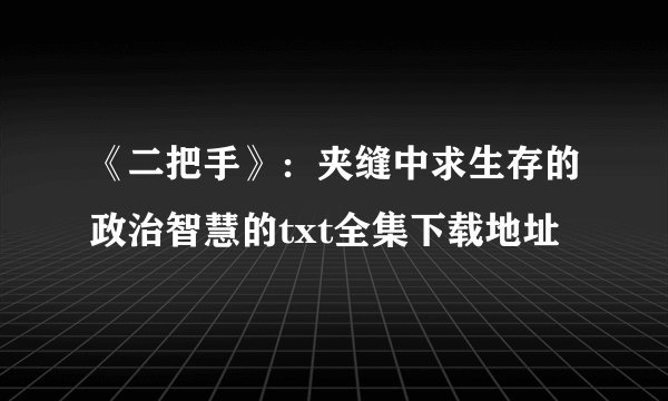 《二把手》：夹缝中求生存的政治智慧的txt全集下载地址