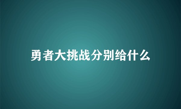 勇者大挑战分别给什么