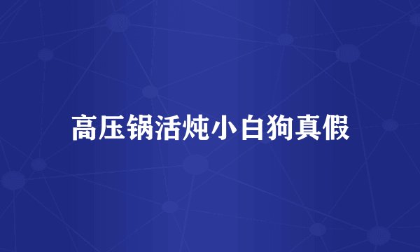 高压锅活炖小白狗真假