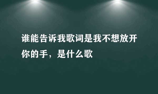谁能告诉我歌词是我不想放开你的手，是什么歌