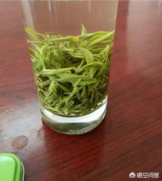 孕妇能经常喝毛尖茶吗？