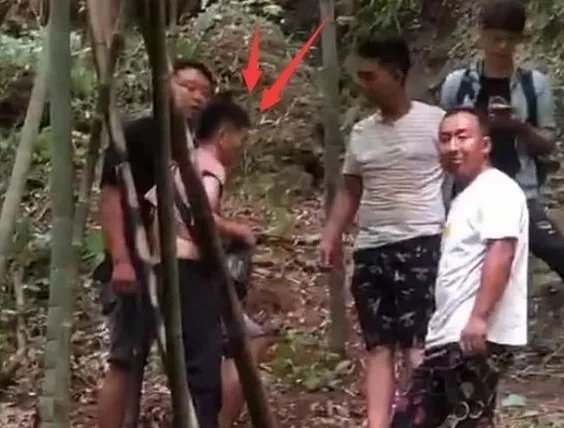 章子怡发文斥代拍，明星代拍真的很过分吗？