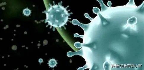 第二波疫情每个人又要感染吗