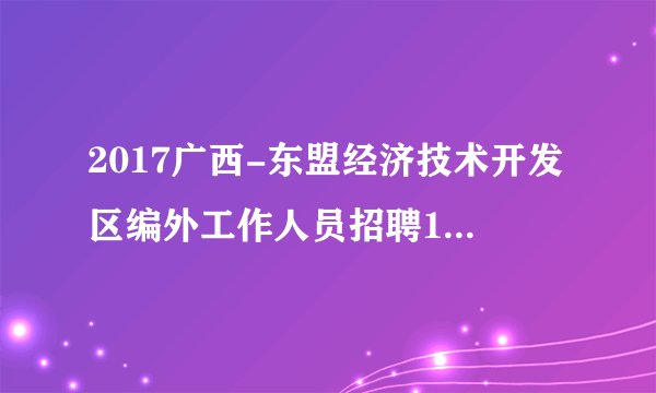 2017广西-东盟经济技术开发区编外工作人员招聘13人公告