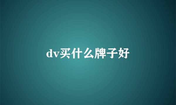 dv买什么牌子好