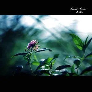 绝对彼此的介绍