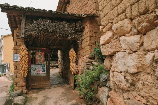 云南普者黑拍摄《爸爸去哪儿》的那些房屋,现在变成什么样了呢?