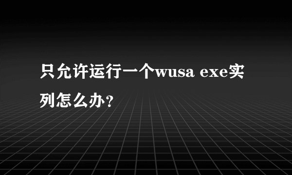 只允许运行一个wusa exe实列怎么办？