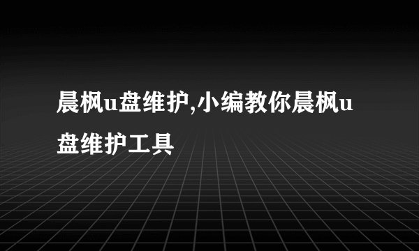 晨枫u盘维护,小编教你晨枫u盘维护工具