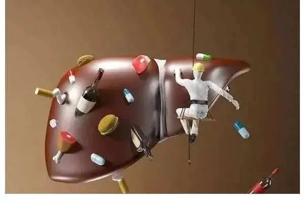 上海男子换肝后引发精神疾病，在医院跳楼身亡，医院需要承担什么责任？