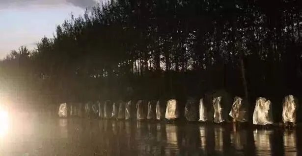 中国真正尼姑 看得我心头一震（组图）