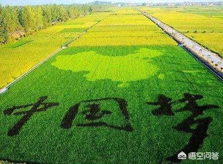 中国最具竞争力行业