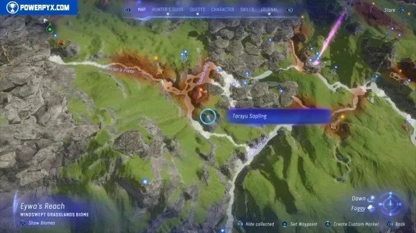 《阿凡达潘多拉边境》塔休幼苗位置汇总 塔休幼苗收集攻略