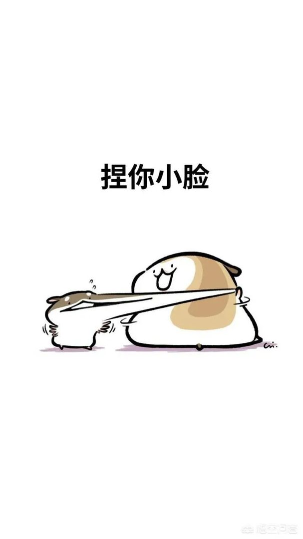 有哪些搞笑的手机壁纸？