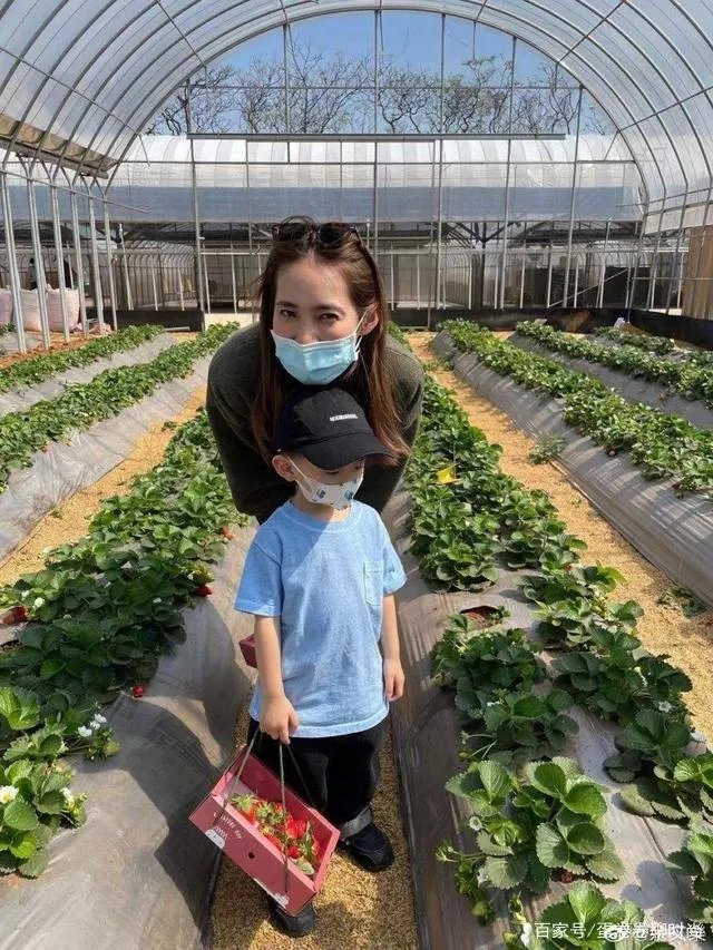 余文乐老婆晒孕照，距生产7周时肚子却仍平坦，女儿早产仅1斤重吗？