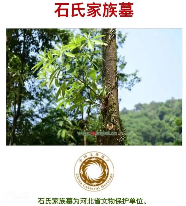 藁这个字怎么读?啥意思?能介绍下藁城吗?