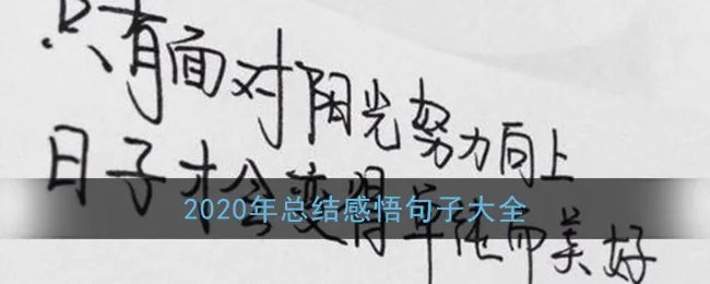 2020年总结感悟句子大全