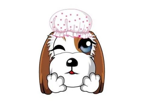 属狗的命运与婚姻如何 属狗男女婚配一览表